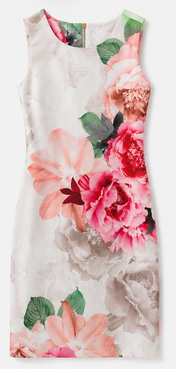 Floral Sheath Dress, Calvin Klein  - Size US 6