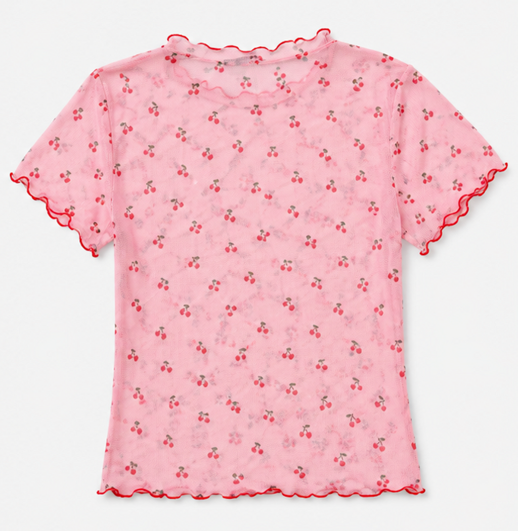 Sheer pink Mesh Short Sleeve T-Shirt, PRIMARK – Size S